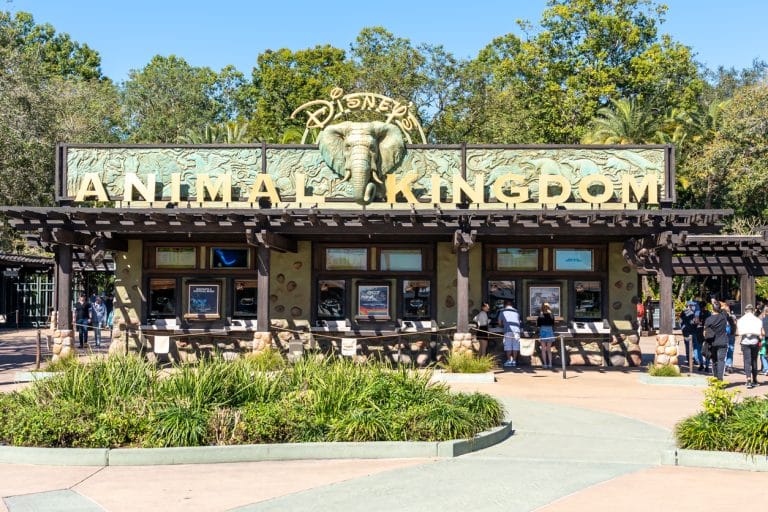 Animal Kingdom Orlando Disney chien