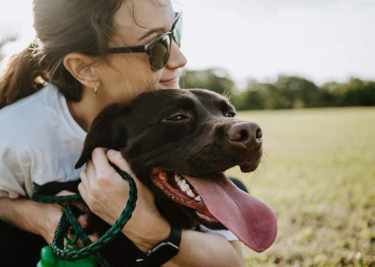 propriétaire de chien ami compagnon domestique animal