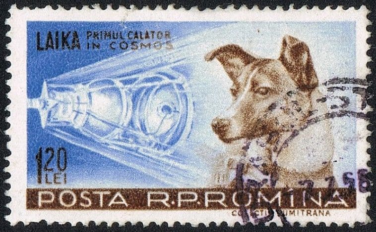 Laïka chienne astronaute espace mission satellite