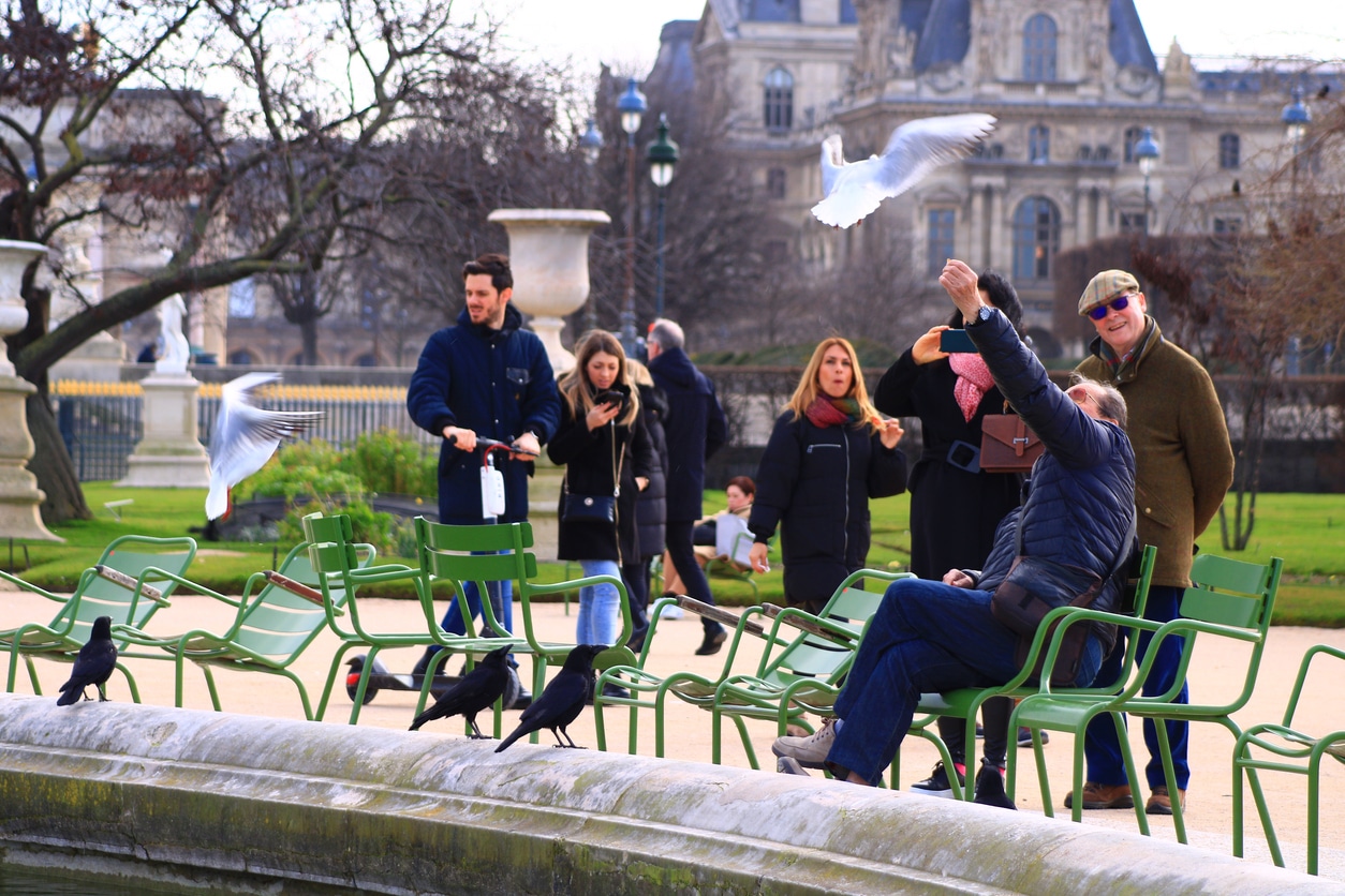 corbeaux oiseaux paris hommes