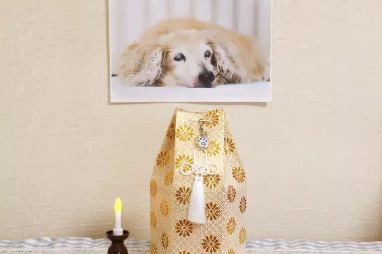 animal de compagnie deuil chien mort urne cendres