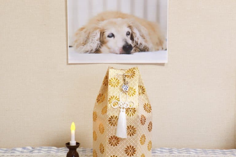 animal de compagnie deuil chien mort urne cendres