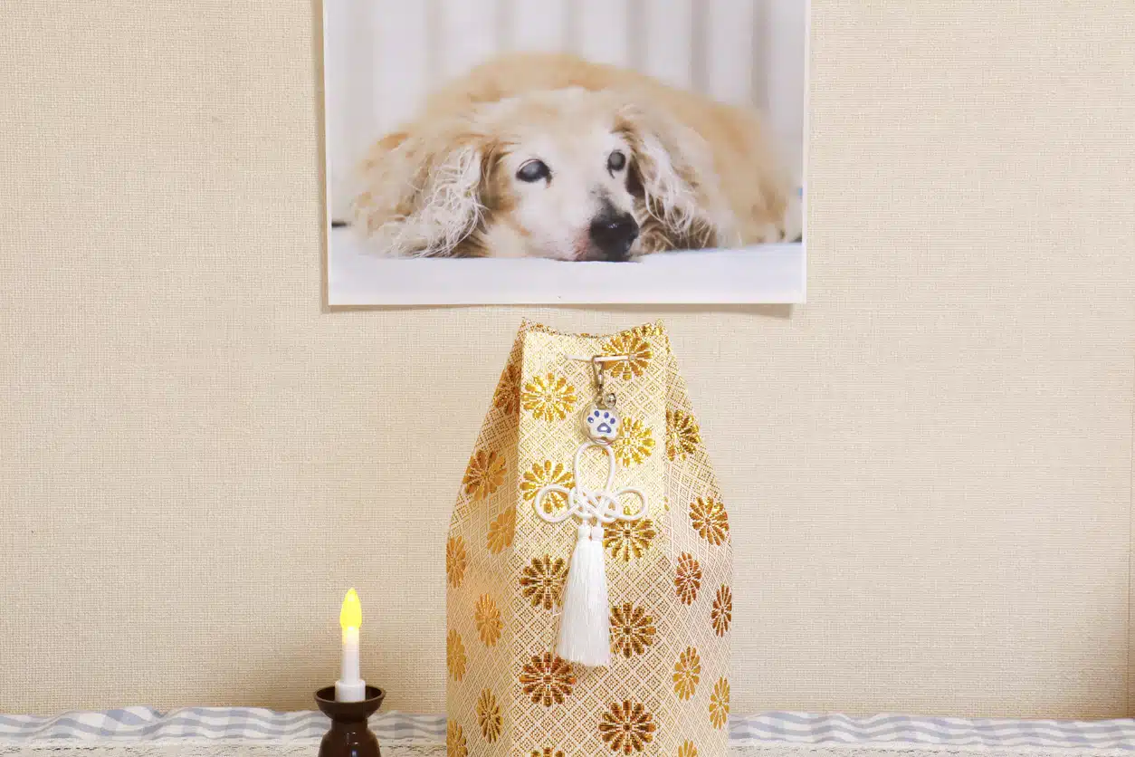 animal de compagnie deuil chien mort urne cendres