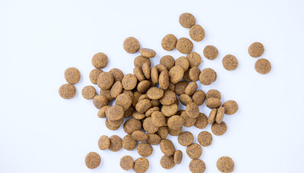 Croquettes de France, la référence française des croquettes pour chien premium