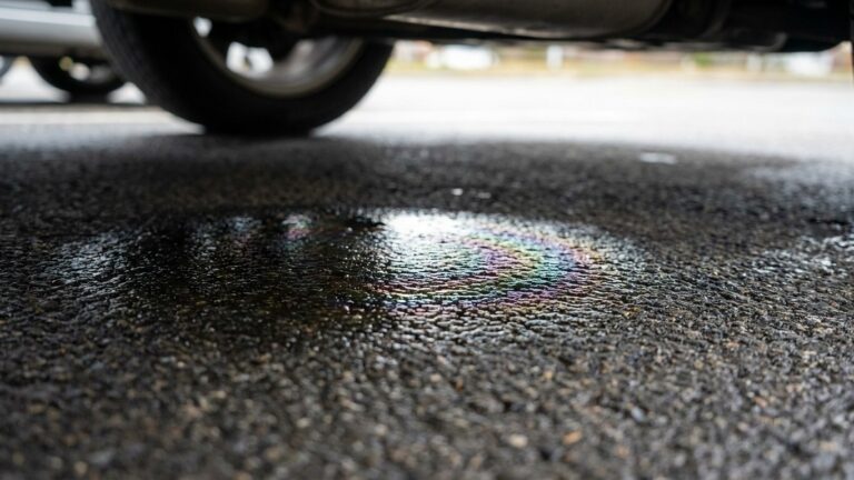 « Je pensais qu'il lapait juste de l'eau de pluie » : pourquoi cette flaque brillante sous la voiture est la vraie raison ...